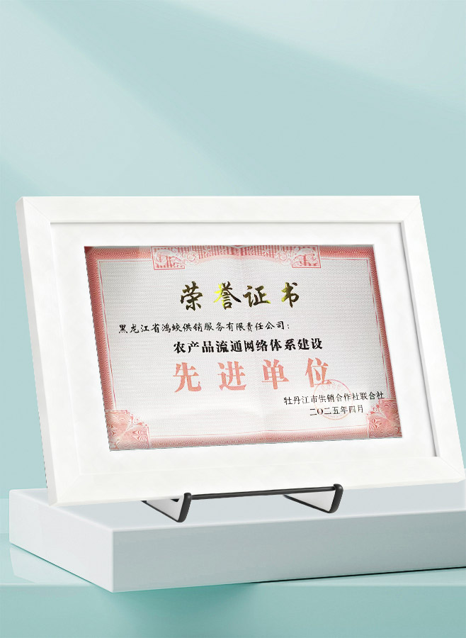 农产品流通网络体系建设先进单位